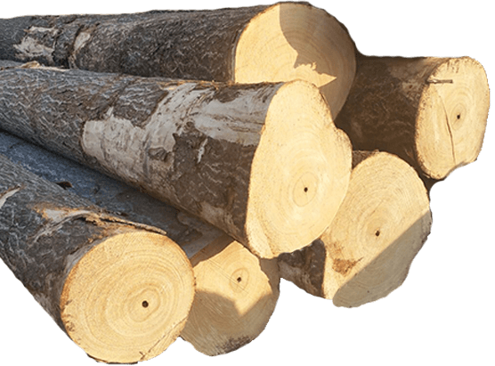 timber