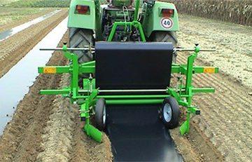nueva plantacion