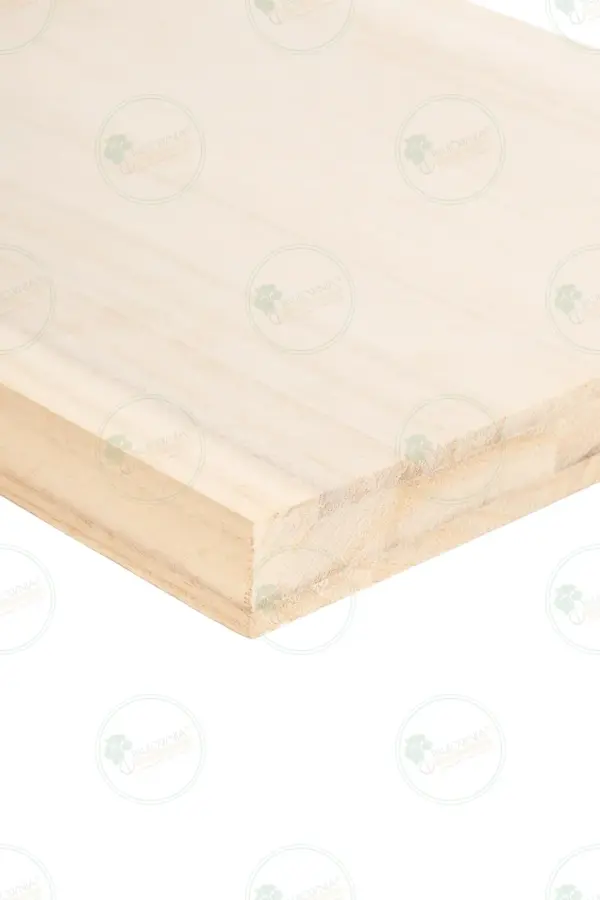 Panel sándwich de Paulownia