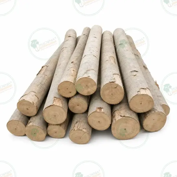 Сухая цилиндрическая балка из павловнии 2200x250mm