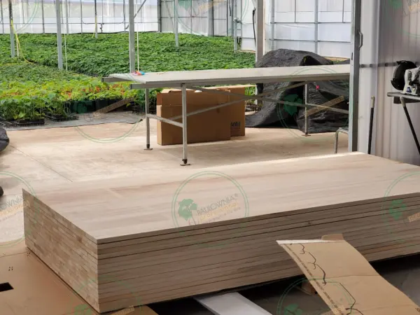 Tablero alistonado de Paulownia 2400x1220x15mm