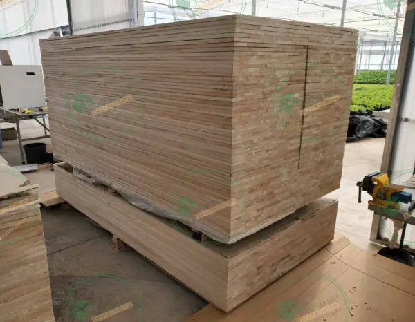 Tablero alistonado de Paulownia 2400x1220x20mm
