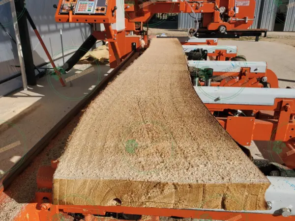 Необрезная доска из павловнии 4000x180-300x70mm сорт A