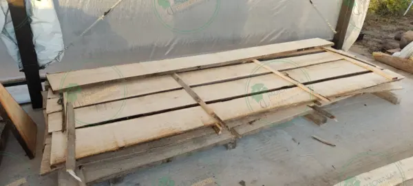 Необрезная доска из павловнии 4000x180-300x20mm сорт A